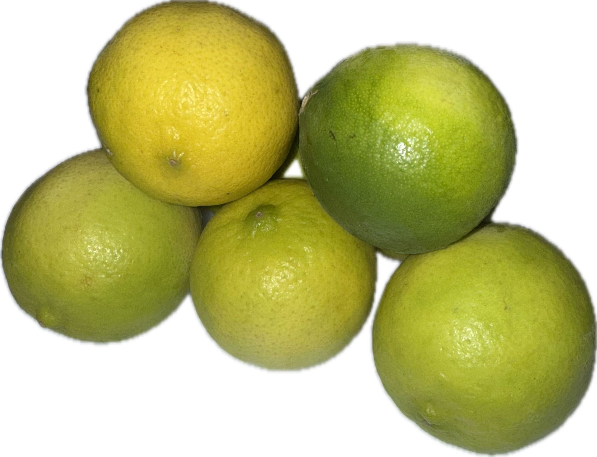 Lime, lédig
