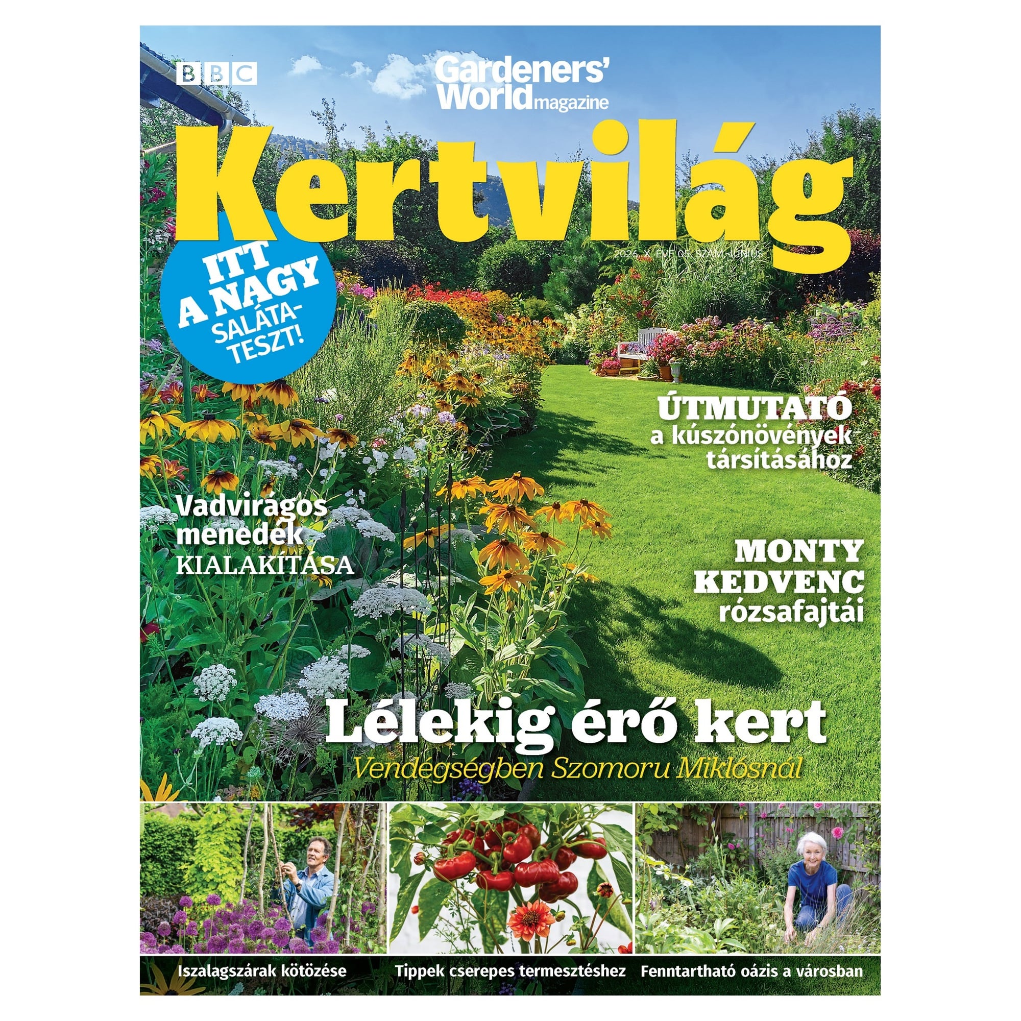 BBC Kertvilág