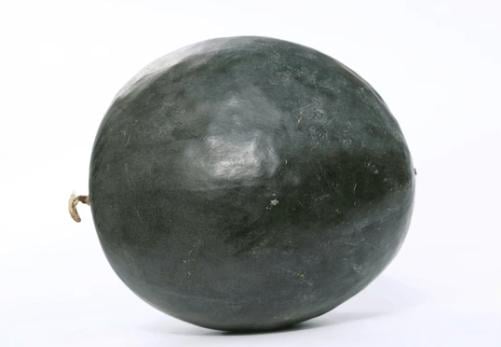 Magszegény görögdinnye, lédig