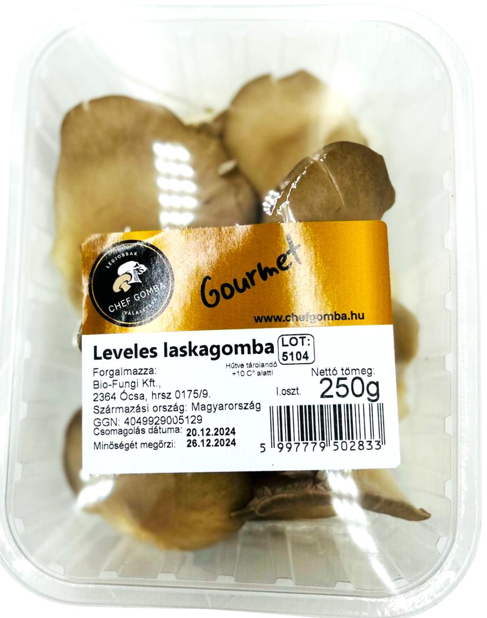 Gourmet Leveles laskagomba