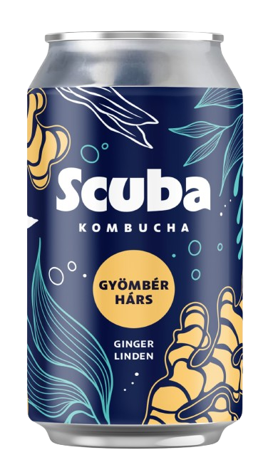 Scuba Kombucha Gyömbér hárs