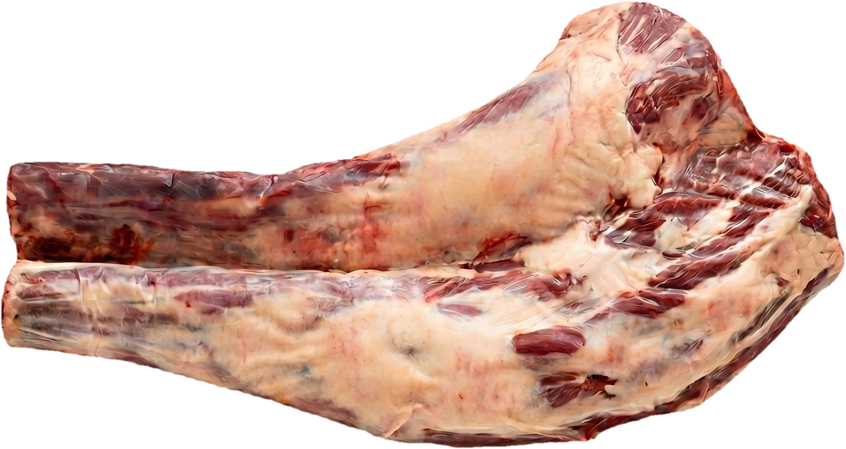 Angus marha farok