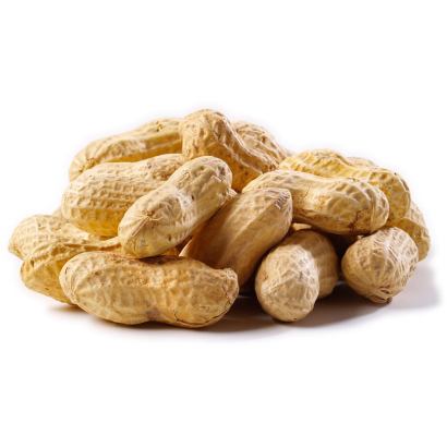 Pörkölt földimogyoró lédig
