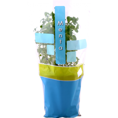 Menta gasztro