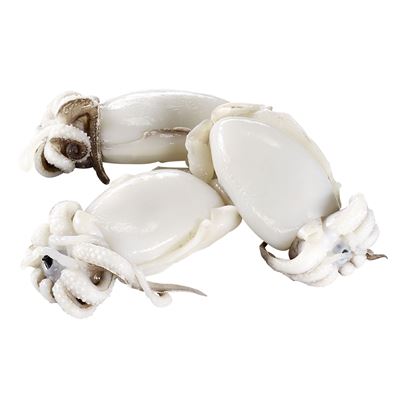 Seacon Gyorsfagyasztott Baby Tintahal Glazing 20 % 40 - 60 db /1 kg