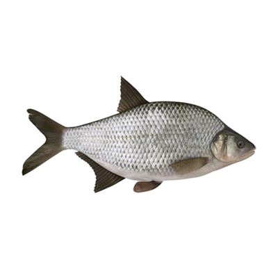 Dévérkeszeg Tisztított Gyorsfagyasztott 400-600 g