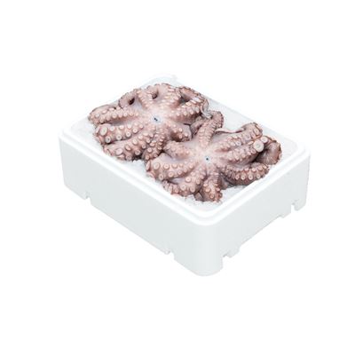 Friss Egész Polip 900-1800 g