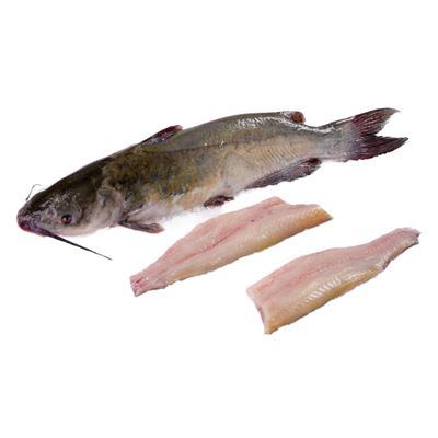 Friss Tisztított Szürkeharcsa