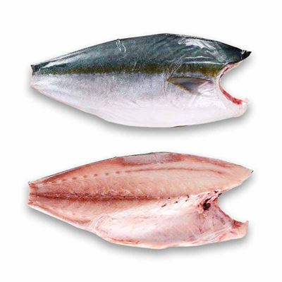 Hamachi filé 1- 1.5kg