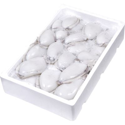 Friss Tintahal 300-500 g
