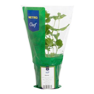 METRO Chef Menta Cserepes