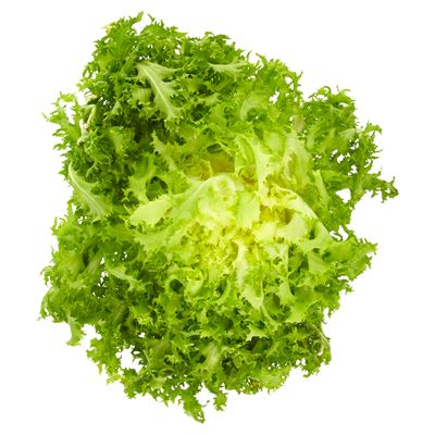 METRO Chef Frisée Saláta 1 db