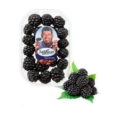 SanLucar Szeder 125g