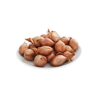 Salotta Hagyma Hálóban 500 g