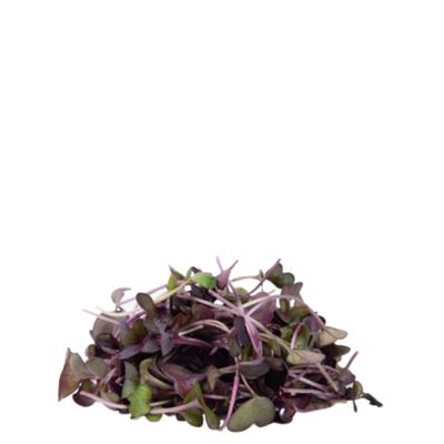 Mikrozöld Retek Rioja 30g
