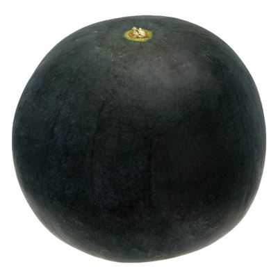 Fekete Magszegény Görögdinnye kg