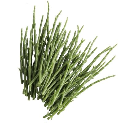 Sziksófű 100 g