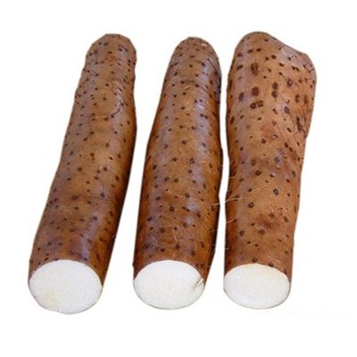 Yam gyökér 1kg