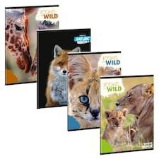 Wild Life Moments vonalas füzet A5