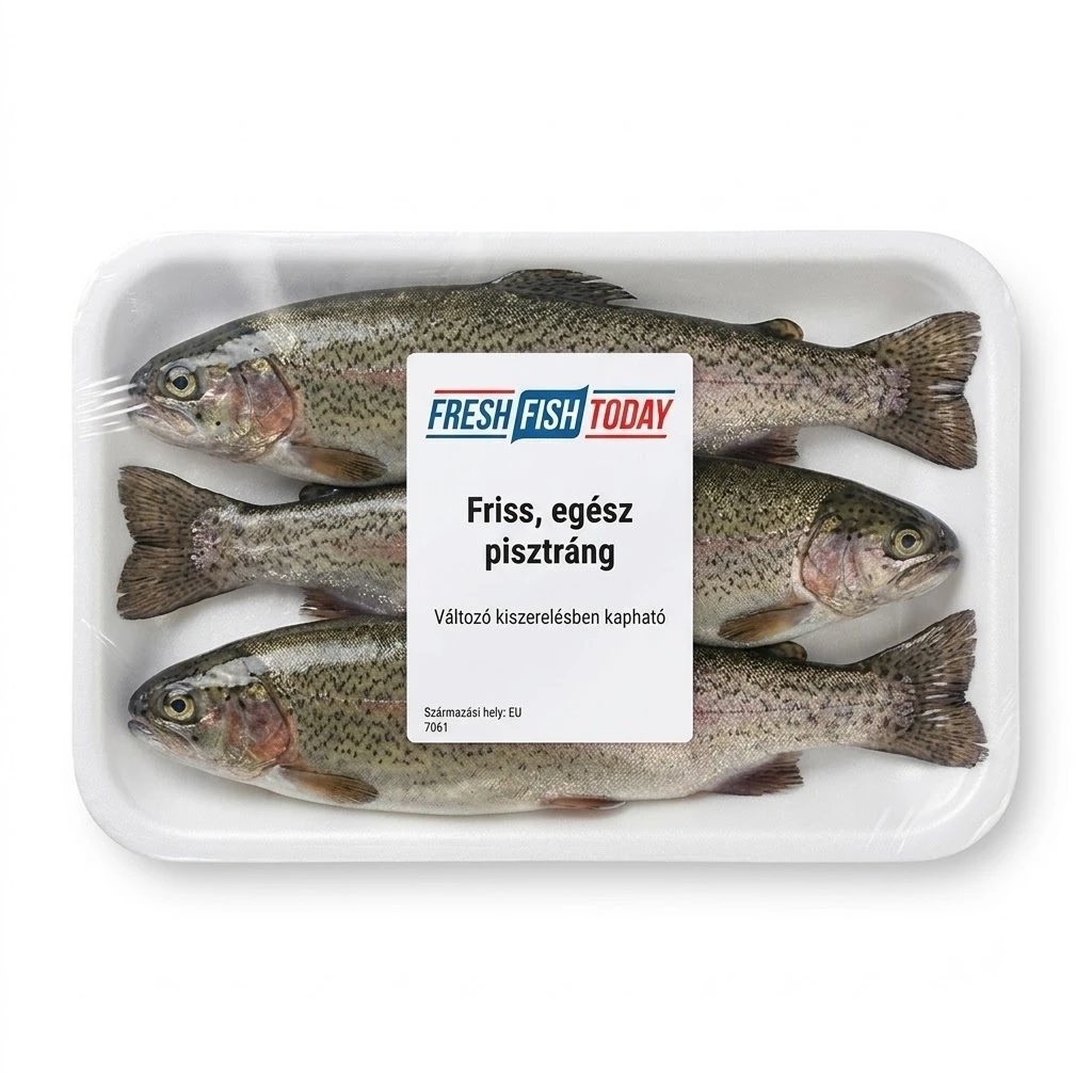 FRESH FISH TODAY Friss, egész pisztráng