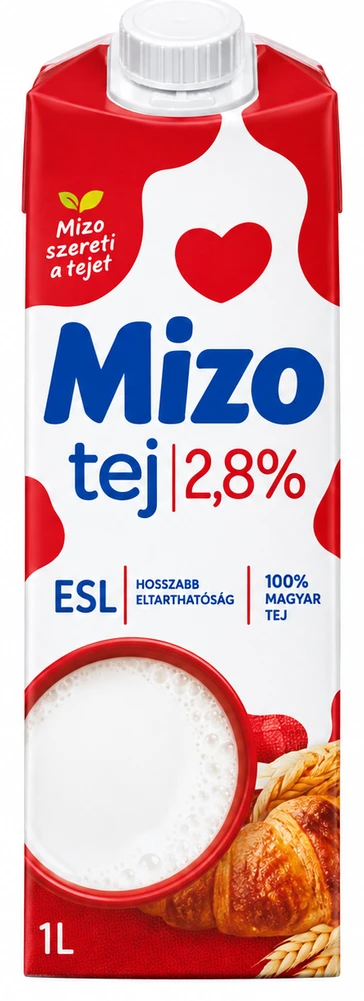 Mizo ESL tej